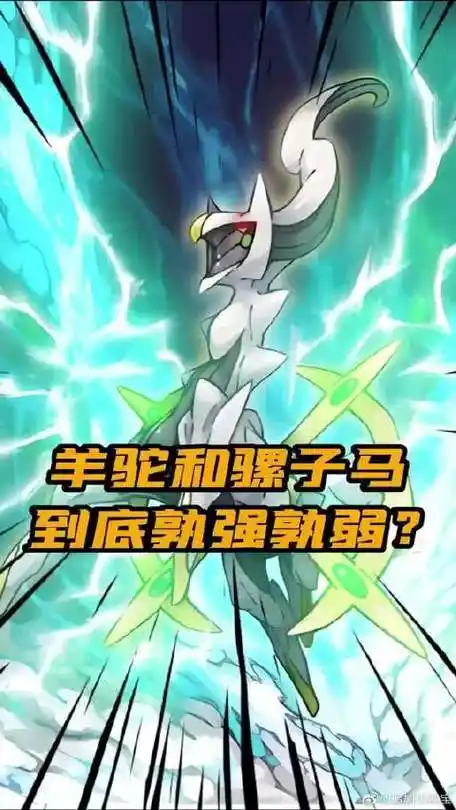 羊驼和骡子马到底孰强孰弱?神奇宝贝 口袋妖怪