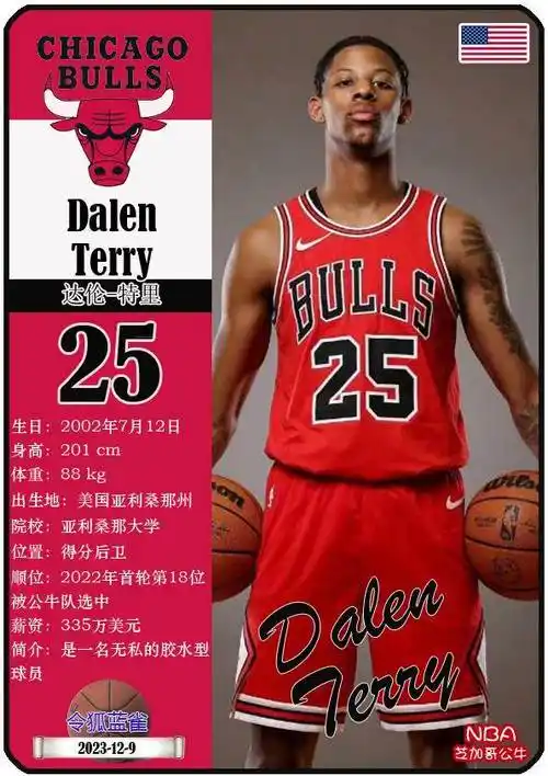 球星卡(nba):芝加哥公牛队(23-24赛季)_nba球队_特里_维奇