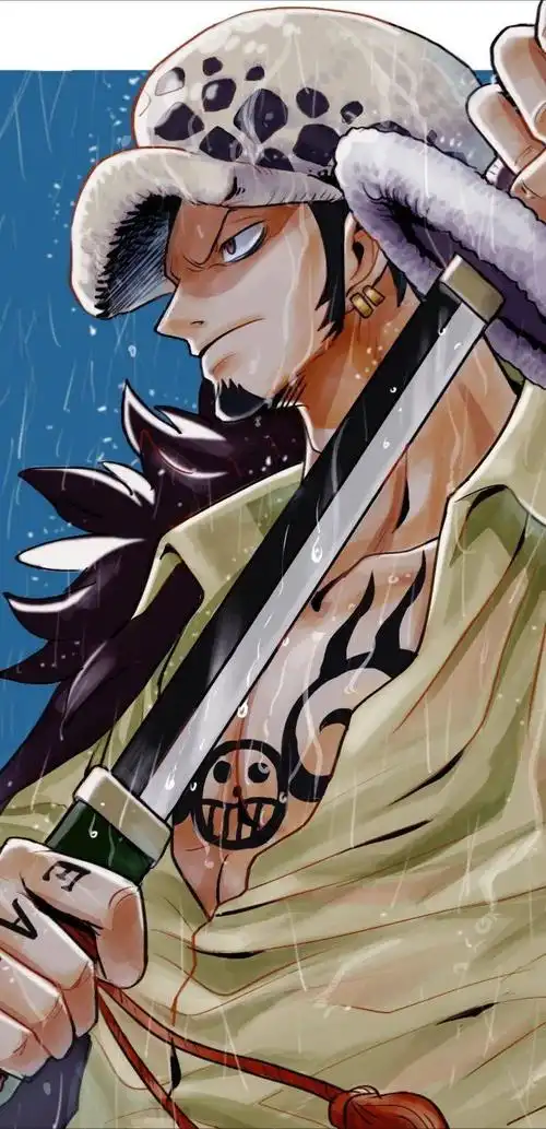 海贼王壁纸超帅的罗