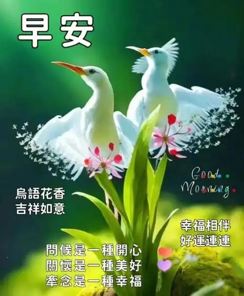 早安祝福暖心图片问候语夏日安康温馨问候祝福语大全早安吉祥