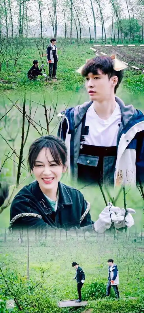 杨紫张艺兴否认恋情后,被黄磊牵红线,艺兴细节好似对紫妹动了情