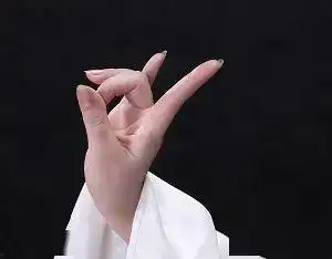 梅馆云端展手舞艺术梅派兰花指摄影展