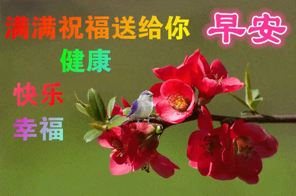 精选早安暖心祝福图片带字带祝福语,温馨早安问候语群发早上好语录 1