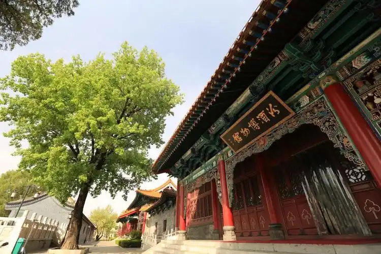 走进汾酒博物馆 看文明与酒的"传承与重塑"