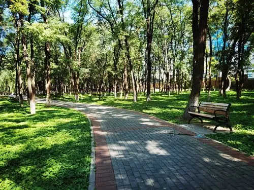 这里是天然的氧吧!走在林荫小路上呼吸着清新的空气,令人心旷神怡.