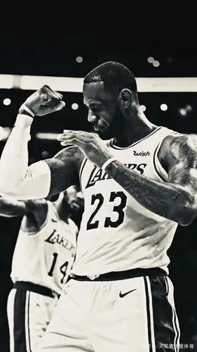 詹姆斯壁纸(银色调系列)