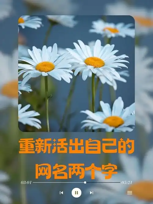 重新活出自己的网名两个字  重生  真我  涅槃  初心   焕新  启程