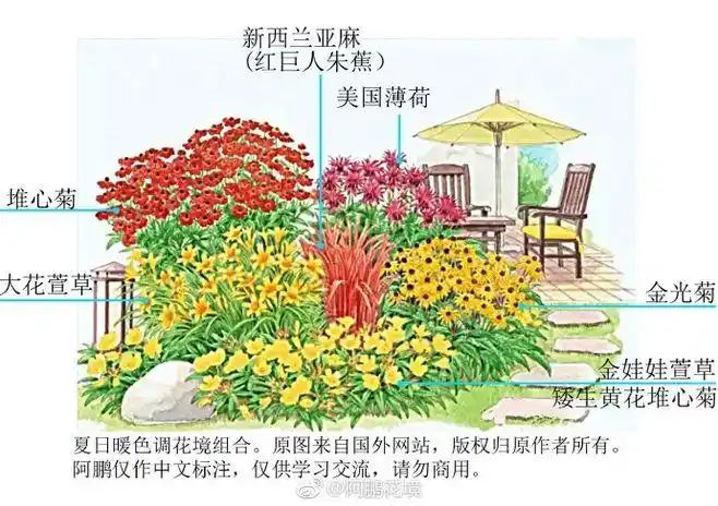 夏日冷色调花境图名示例六组,喜欢的可以转发收藏哦#阿鹏花境