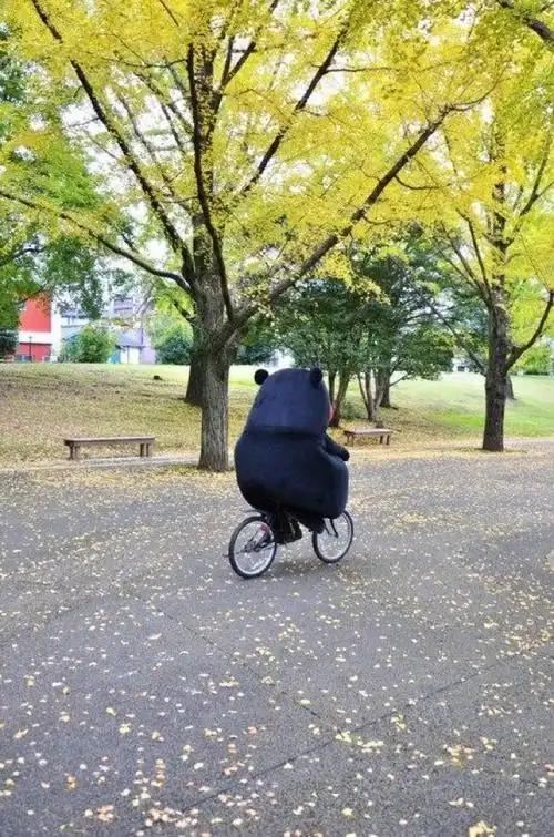 日本推特搞怪照片大搜集 如此精彩的无厘头世界