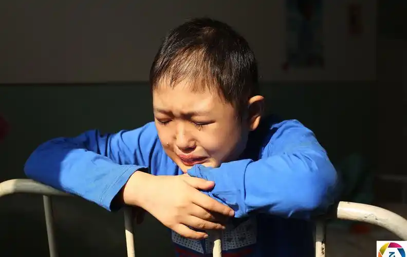 男童患病无钱治三次带回家,爷爷冒雪捡柴:没钱救他,不能让他冻死