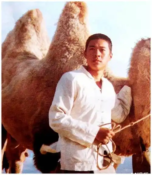 吕丽萍低调回国,模样苍老,孙海英曾发文:没有特殊原因绝不回国_张丰毅