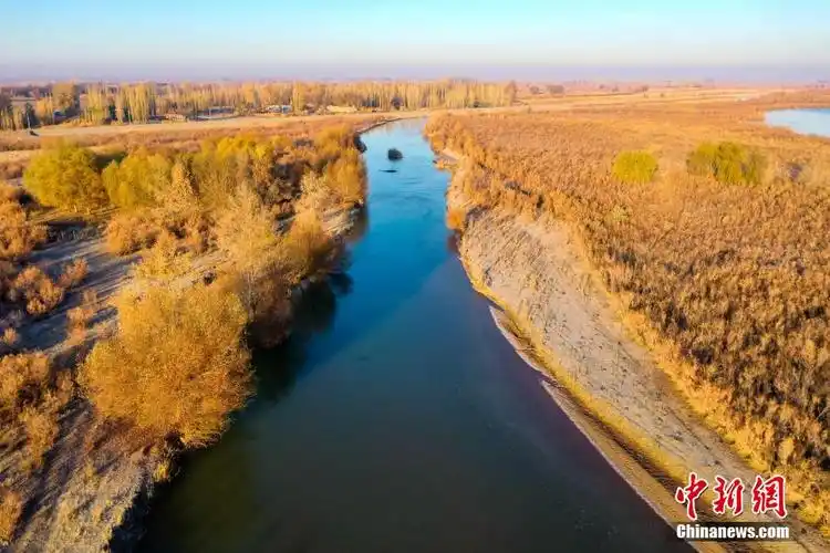 新疆呼图壁初冬湿地风景如画
