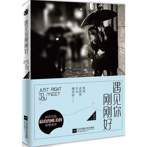 遇见你刚刚好 来到这世界,只为遇见你 浪漫唯美爱情童话 青春爱情小说