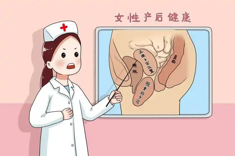 孕妈三两事 之 产后阴道壁膨出的肉肉可以恢复正常吗?