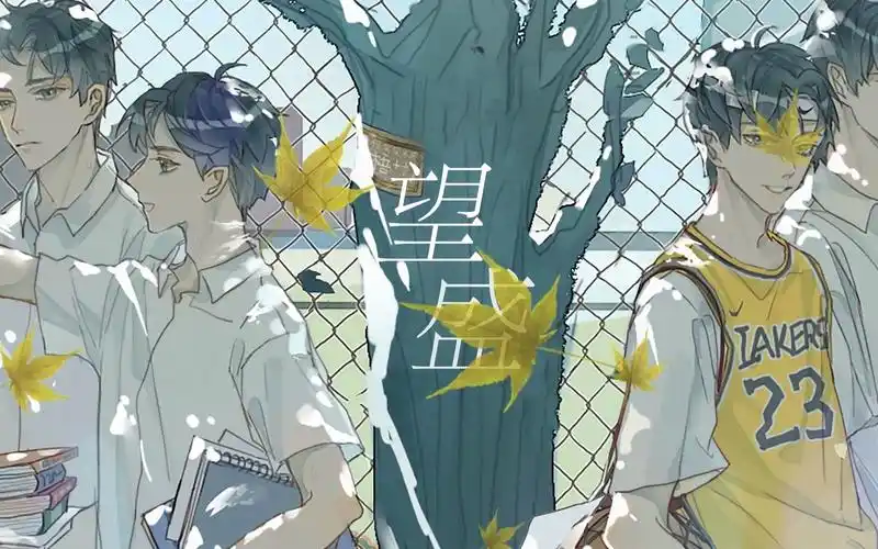 木苏里原著某某盛望个人曲盛望如果可以我想回到十七岁盛夏将少年心动