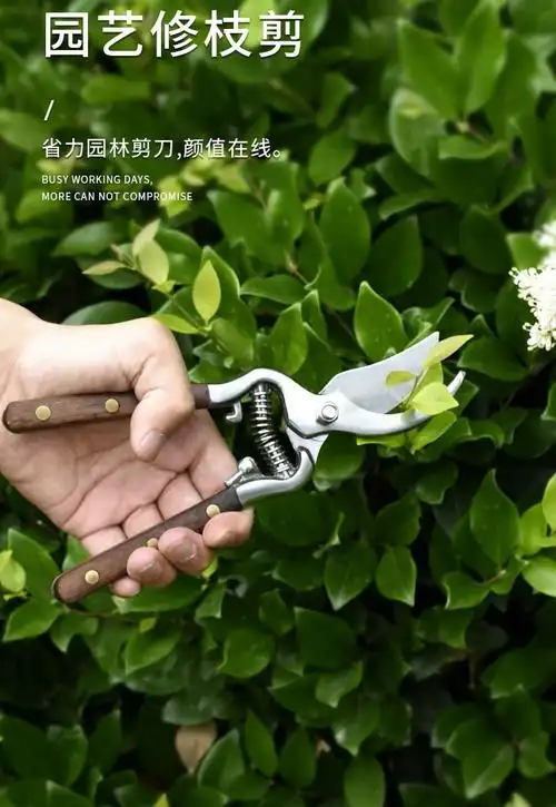 剪枝果树修枝剪刀园艺修剪树枝园林省力修剪家用工具剪子神器虎雀