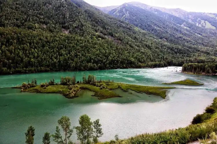 喀纳斯景区卧龙湾.