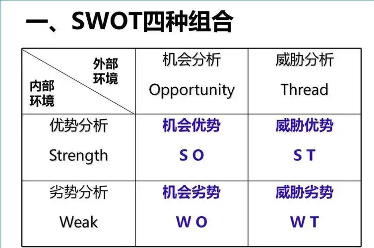 swot分析与案例模型精编版