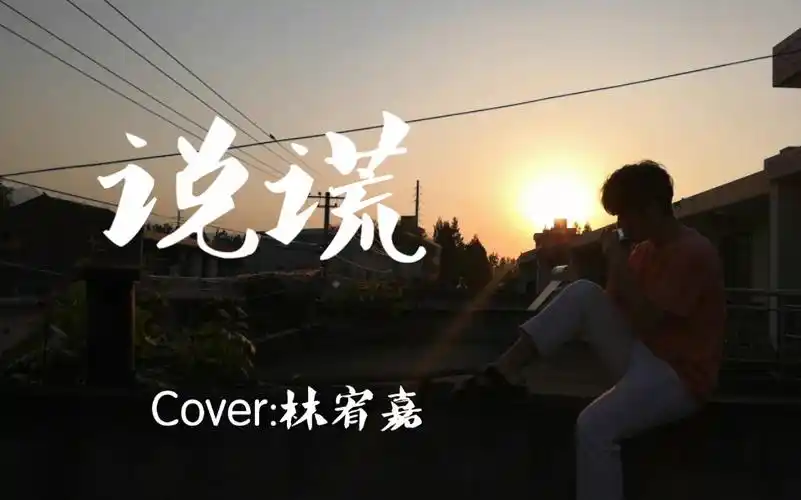 口琴林宥嘉说谎附谱这么生硬的标题也是没谁了