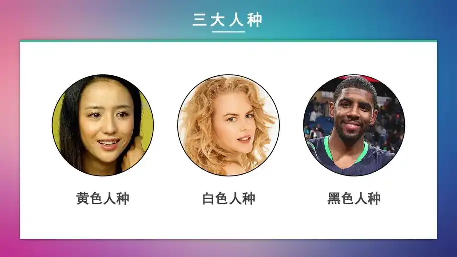 831人种和人口课件