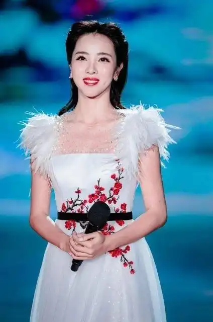 历代春晚上的女主持人哪位才算是观众心中风姿绰约的美女呢