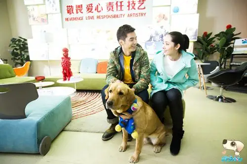 《神犬》金世佳连轴变身 爱情事业双成长|金世佳|神犬小七|郭碧婷