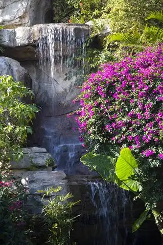 竖图,彩色,室外,旅游,度假,纯洁,瀑布,水,田园,白云山,广州,中国,野花