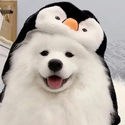 有什么沙雕但very可爱的头像呀? - 知乎