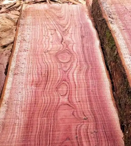 天津红椿木批发价格-黄页88网