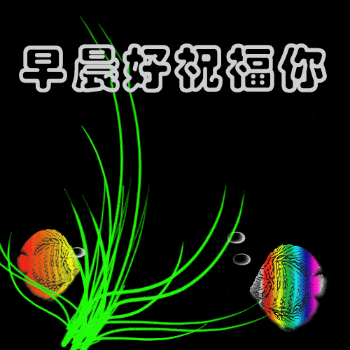 7张最新漂亮早上好问候动态表情图片 好看的早安问候免打字动态图片