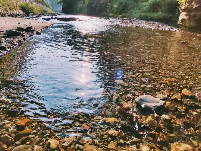 今天太阳很好,河水也很清