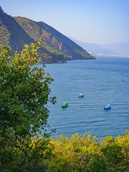 真的好惊艳95    07游览路线:  禄充风景区7915明星鱼洞79