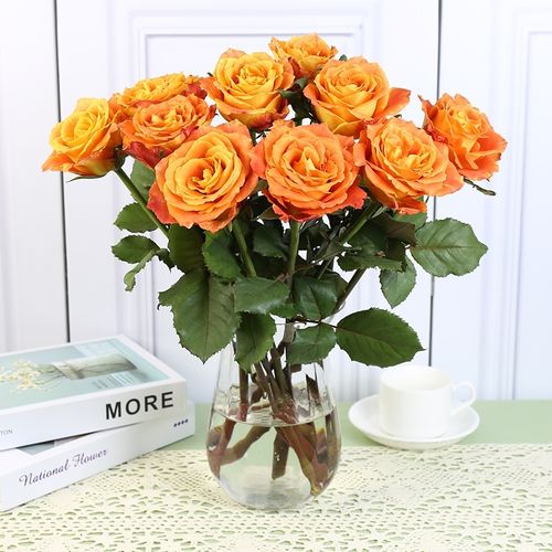 活泼的橙色系欢乐颂玫瑰花鲜花云南直发奥斯汀花型玫瑰水养鲜切花