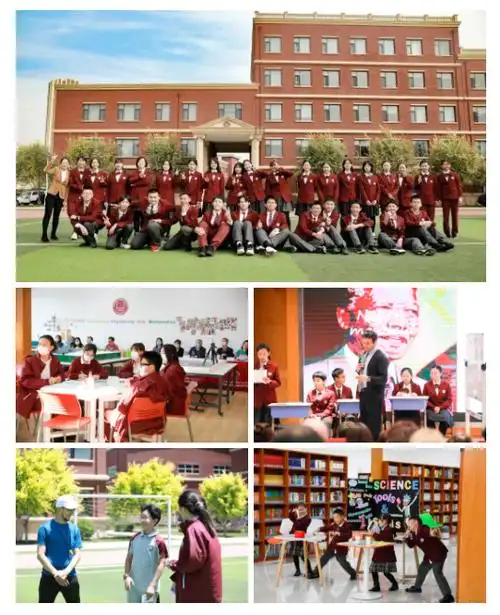 2022年天津美达菲高中招生政策解读 - 天津美达菲学校