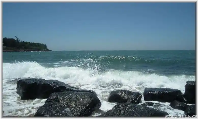 两广驴友聚集硇州岛百舸争流竞技金沙湾