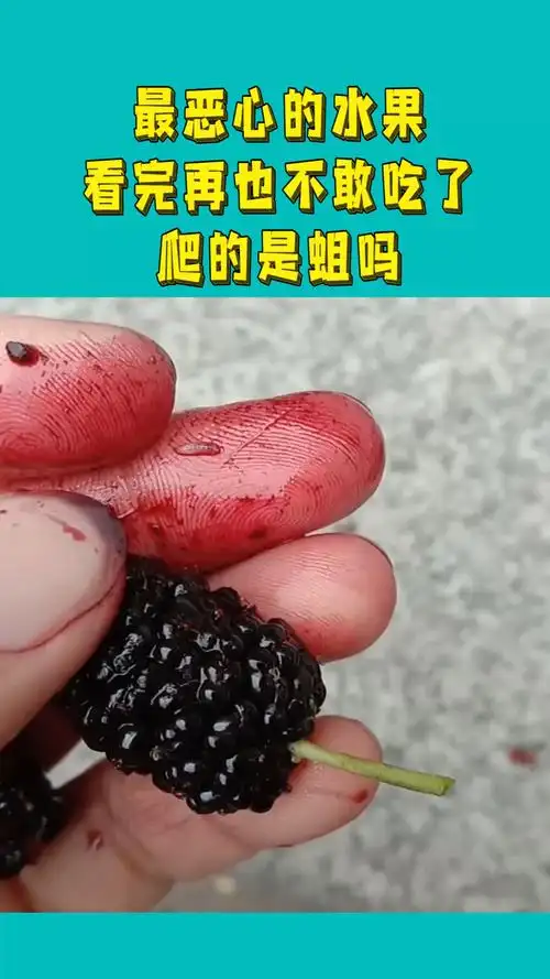 最恶心的水果,看完再也不敢吃了,爬的是蛆吗?