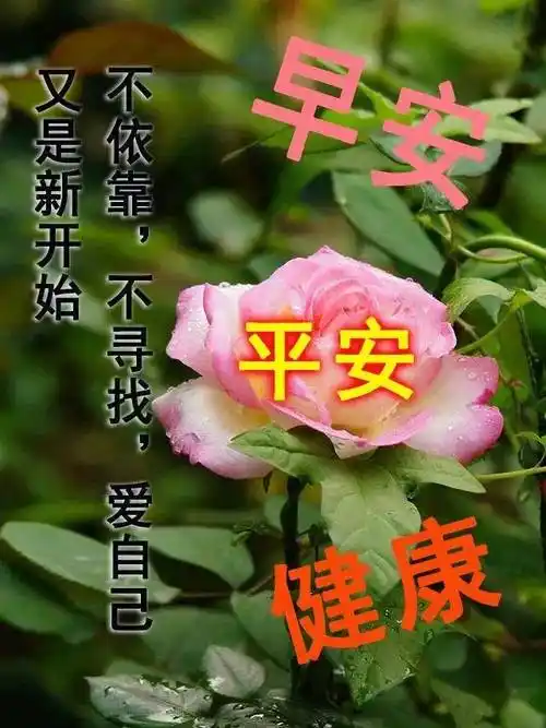 7张夏日创意唯美早上好祝福语图片大全免打字 2021夏日清晨早安问候语