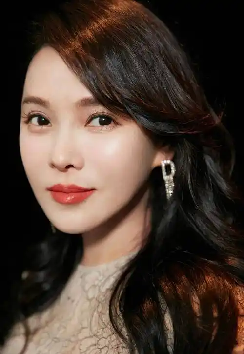 52岁伊能静复出