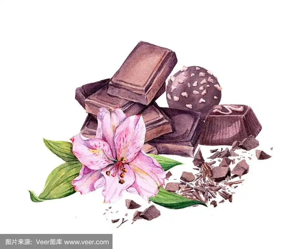 巧克力块,巧克力糖果和花.水彩