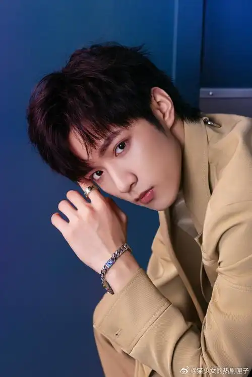 刘耀文美拉德西装