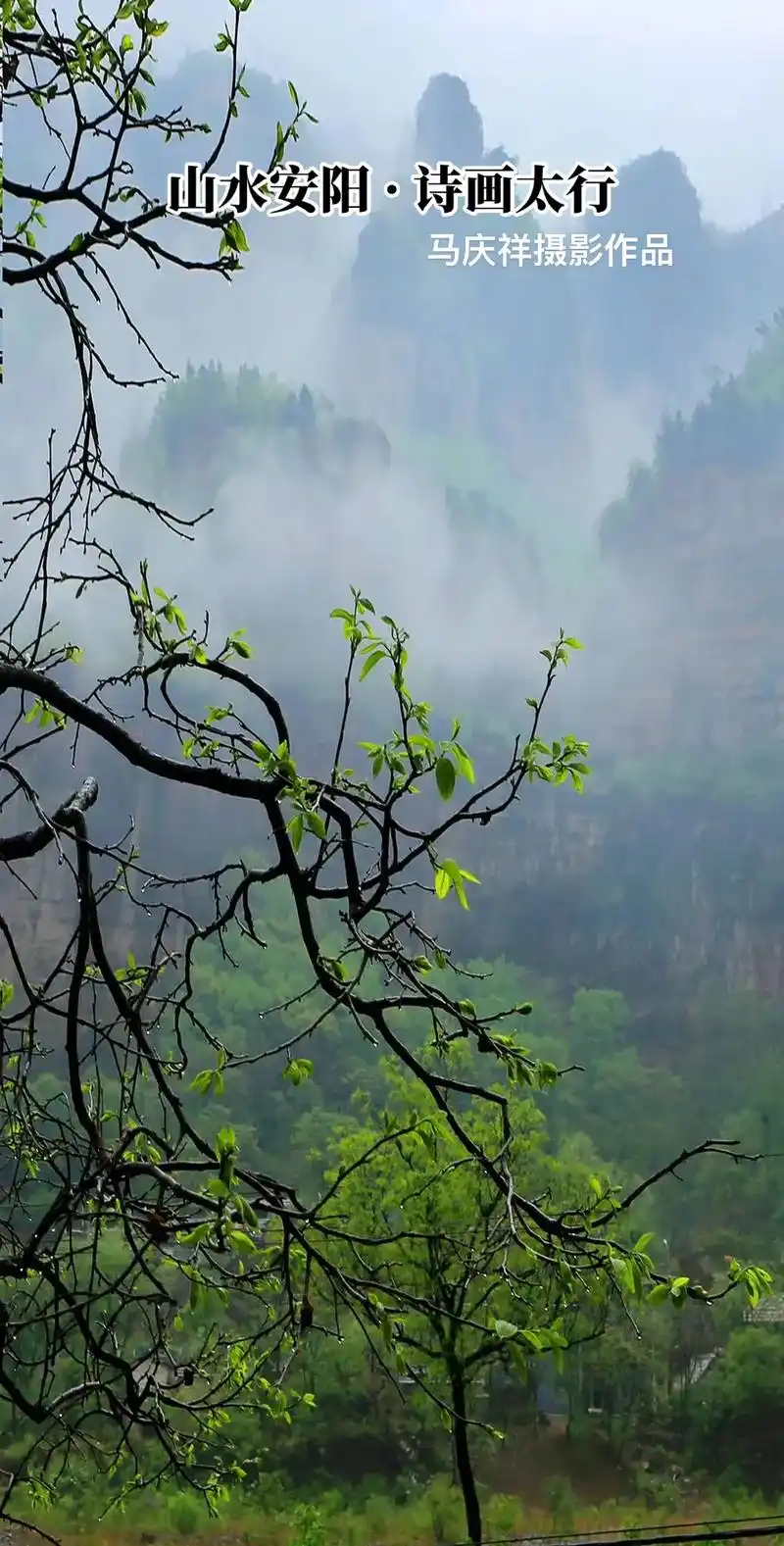 遇见最美安阳2021 #云雾缭绕人间仙境 #住在风景里 # - 抖音