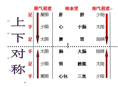 1分钟让你记住十二经脉名称,相表里关系,流注顺序(自创)