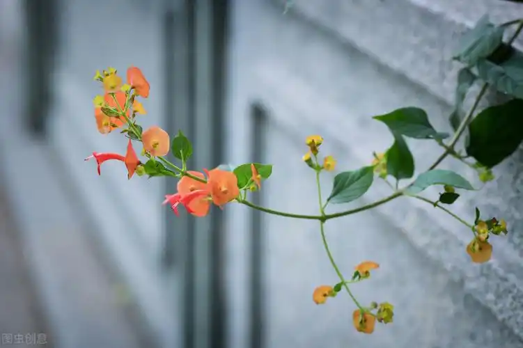 特别甜的爱情说说 00后最爱的爱情甜句子