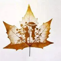 最简单一片叶子的头像_微信头像图片大全