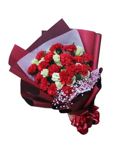 爱的最高点-18枝红色康乃馨_康乃馨_鲜花花束_花蔓家品牌鲜花,全国