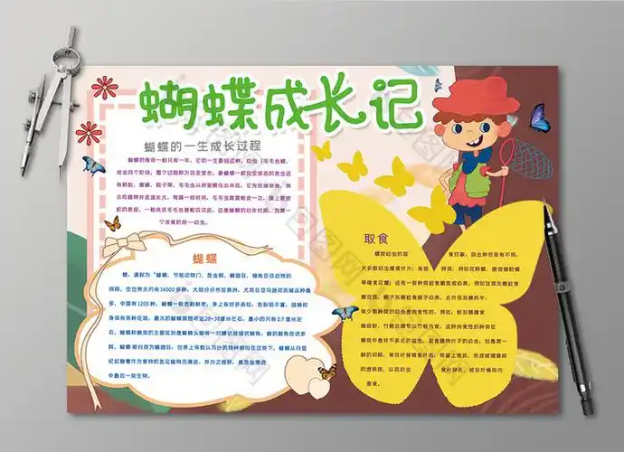 蝴蝶成长记昆虫黑白线描小报图片