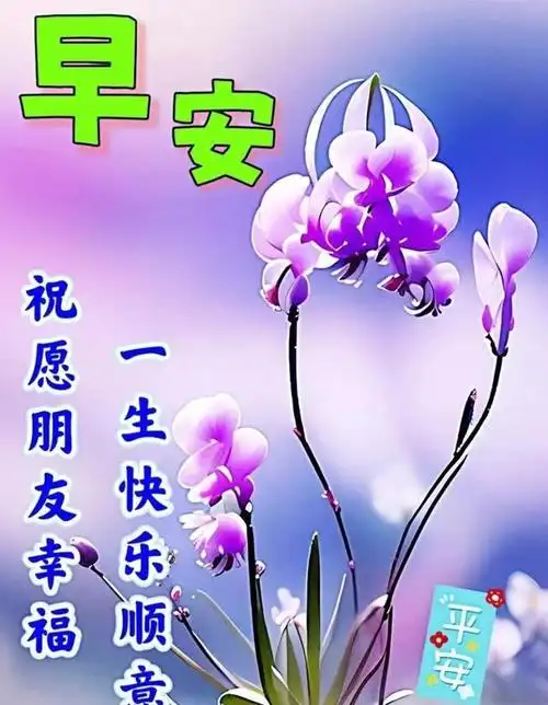 新款早上好表情包图片,每天开心,每日健康