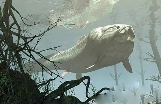 梅氏利维坦鲸的头颅化石被发现科学家推测65吨重