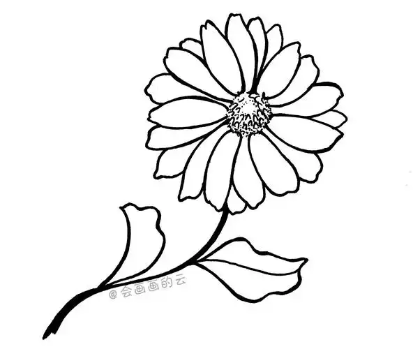 三款适合零基础画的小雏菊,简单又好看,而且一只中性笔就可以