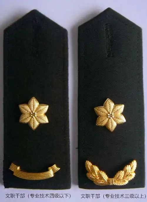 谈谈文职干部的肩章(文职干部 肩章) - 趣味头条
